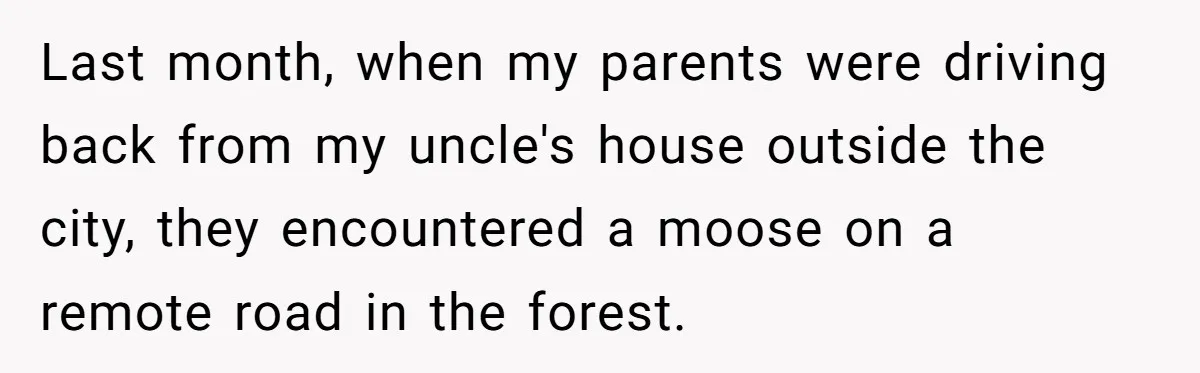 Last month, when my parents were driving back from my uncle's house outside the city, they encountered a moose on a remote road in the forest.