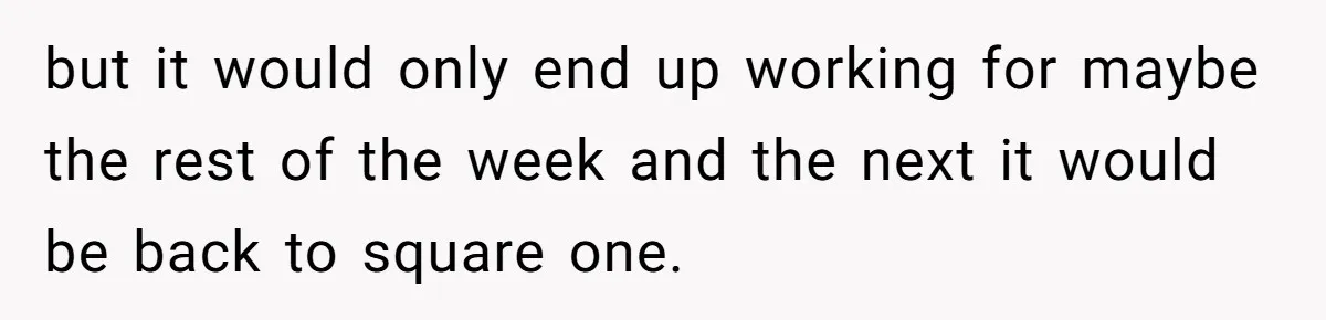 but it would only end up working for maybe the rest of the week and the next it would be back to square one.