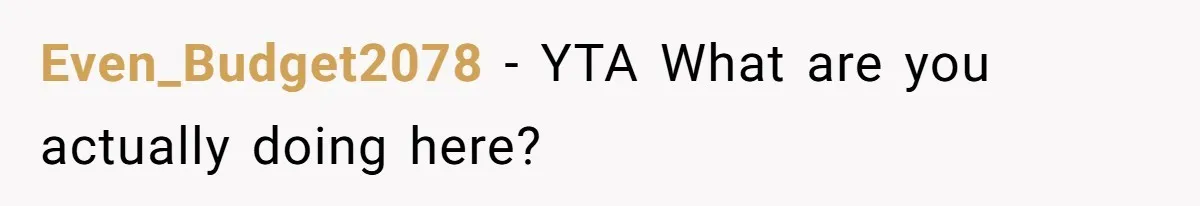 Even_Budget2078 − YTA What are you actually doing here?