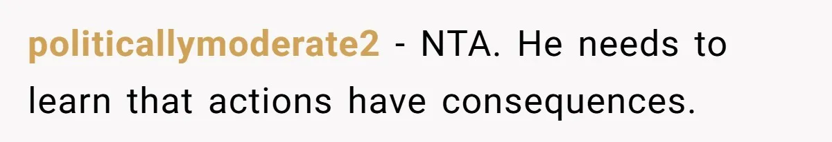 politicallymoderate2 − NTA. He needs to learn that actions have consequences.