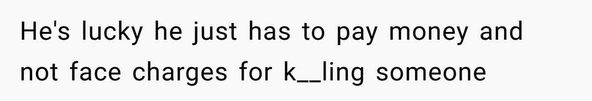 He's lucky he just has to pay money and not face charges for k__ling someone