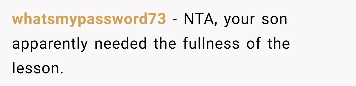 whatsmypassword73 − NTA, your son apparently needed the fullness of the lesson.
