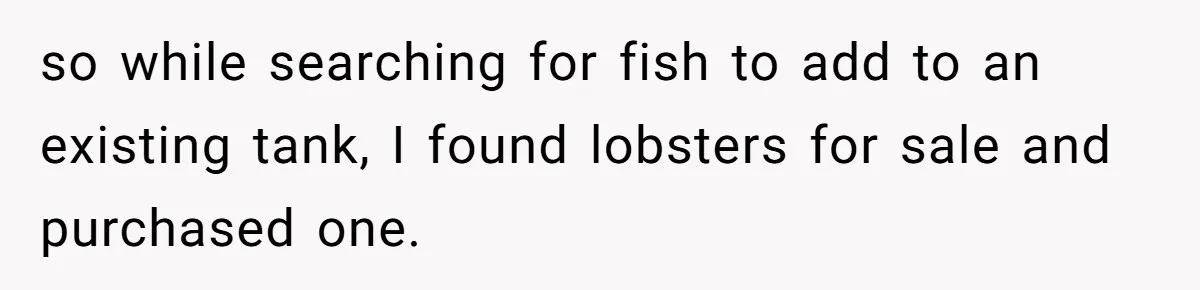 so while searching for fish to add to an existing tank, I found lobsters for sale and purchased one.