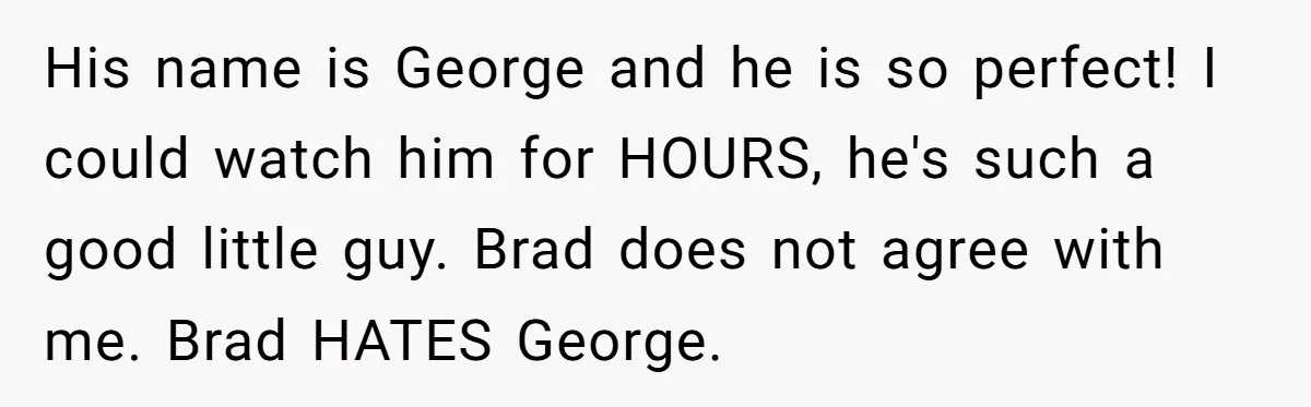 His name is George and he is so perfect! I could watch him for HOURS, he's such a good little guy. Brad does not agree with me. Brad HATES George.