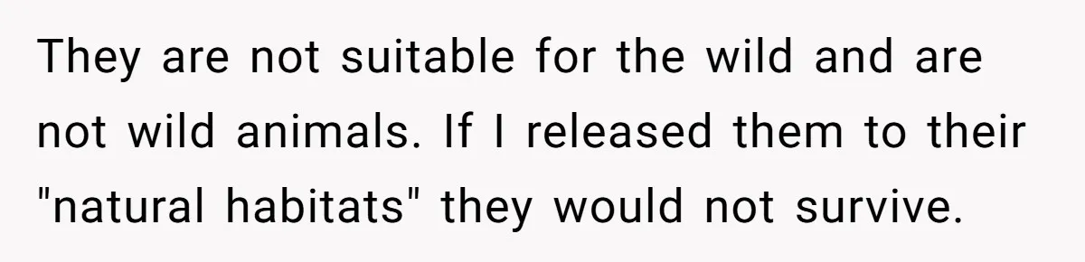 They are not suitable for the wild and are not wild animals. If I released them to their "natural habitats" they would not survive.