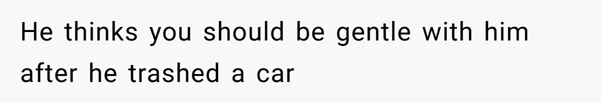 He thinks you should be gentle with him after he trashed a car