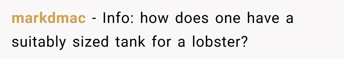 markdmac − Info: how does one have a suitably sized tank for a lobster?