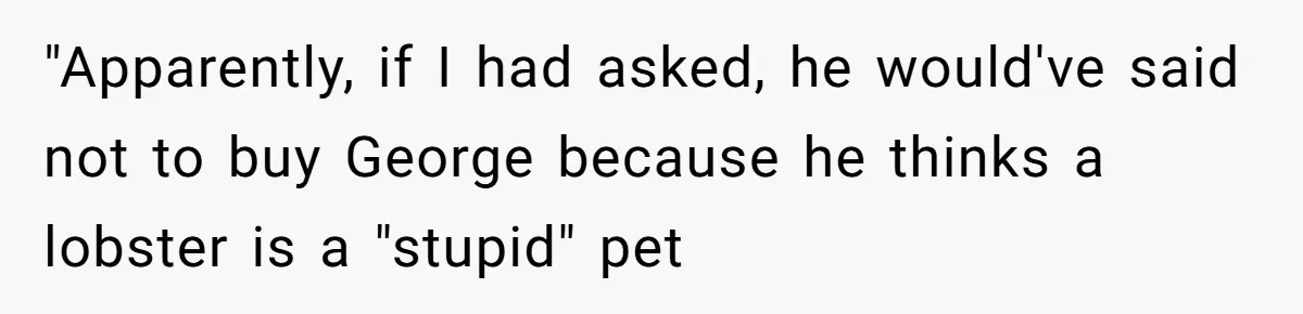 "Apparently, if I had asked, he would've said not to buy George because he thinks a lobster is a "stupid" pet