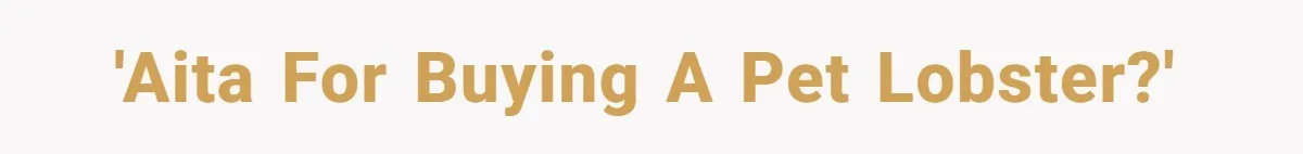 'AITA for buying a pet lobster?'