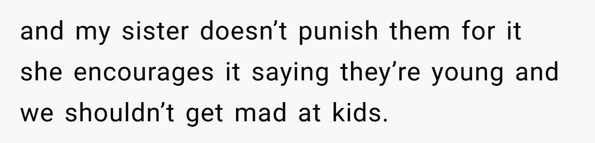and my sister doesn’t punish them for it she encourages it saying they’re young and we shouldn’t get mad at kids.