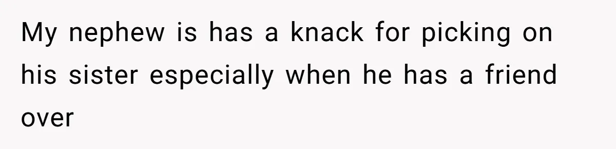 My nephew is has a knack for picking on his sister especially when he has a friend over