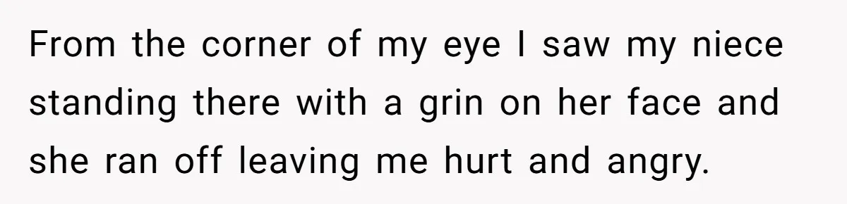 From the corner of my eye I saw my niece standing there with a grin on her face and she ran off leaving me hurt and angry.
