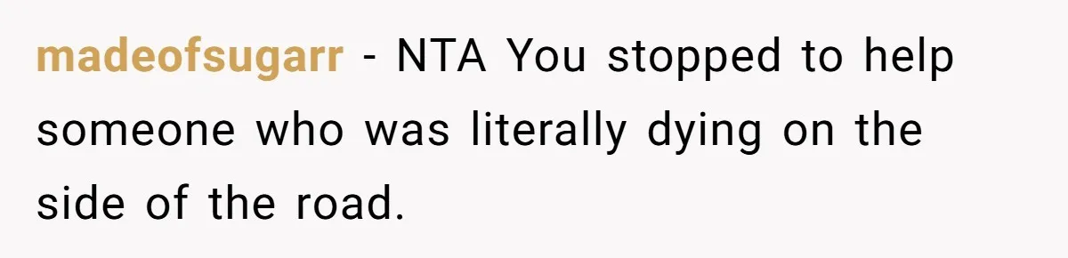 madeofsugarr − NTA You stopped to help someone who was literally dying on the side of the road.
