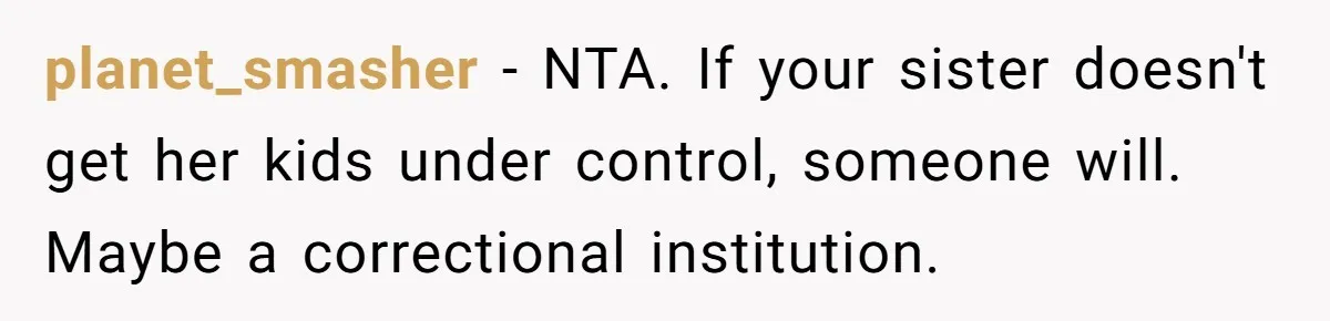 planet_smasher − NTA. If your sister doesn't get her kids under control, someone will. Maybe a correctional institution.