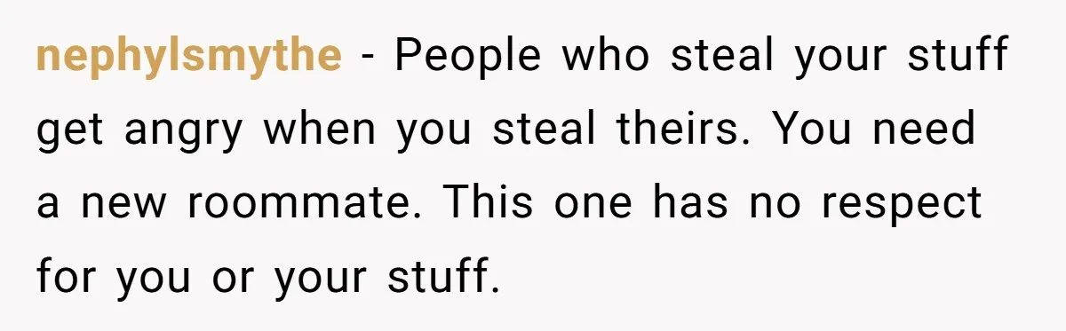 nephylsmythe − People who steal your stuff get angry when you steal theirs. You need a new roommate. This one has no respect for you or your stuff.