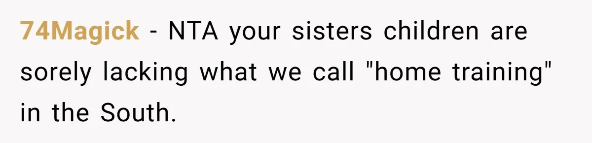 74Magick − NTA your sisters children are sorely lacking what we call "home training" in the South.
