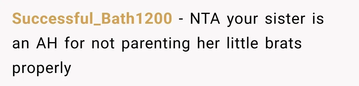 Successful_Bath1200 − NTA your sister is an AH for not parenting her little brats properly