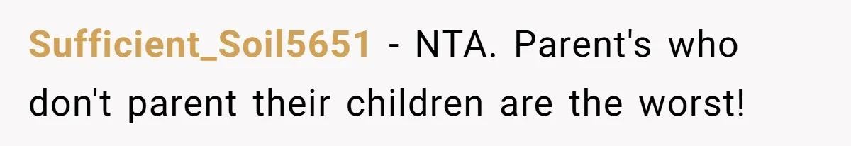 Sufficient_Soil5651 − NTA. Parent's who don't parent their children are the worst!