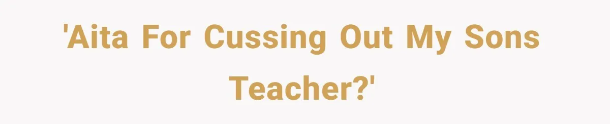 'AITA for cussing out my sons teacher?'
