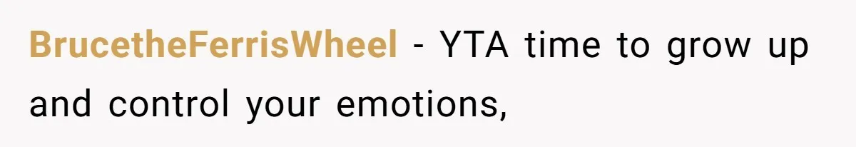 BrucetheFerrisWheel − YTA time to grow up and control your emotions,