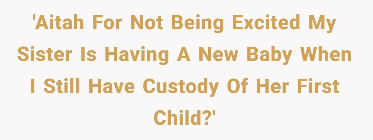 'AITAH for not being excited my sister is having a new baby when I still have custody of her first child?'