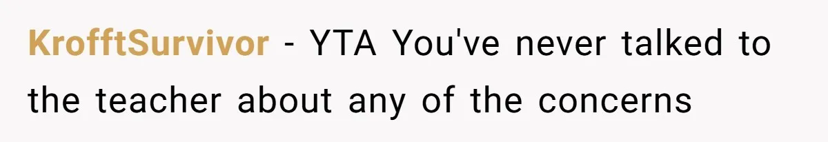 KrofftSurvivor − YTA You've never talked to the teacher about any of the concerns