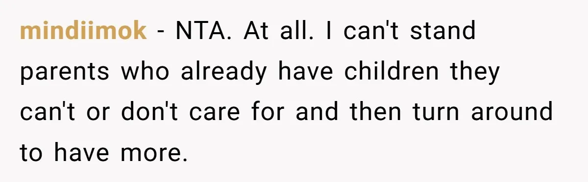 mindiimok − NTA. At all. I can't stand parents who already have children they can't or don't care for and then turn around to have more.