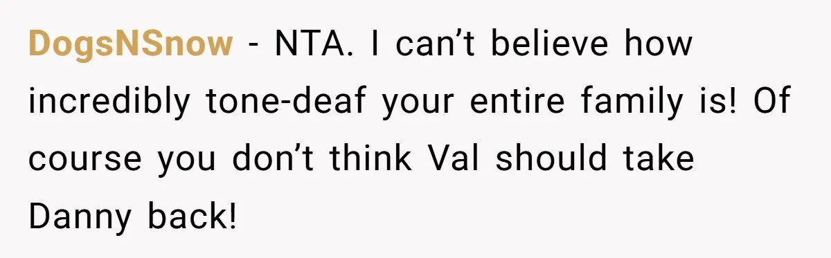 DogsNSnow − NTA. I can’t believe how incredibly tone-deaf your entire family is! Of course you don’t think Val should take Danny back!