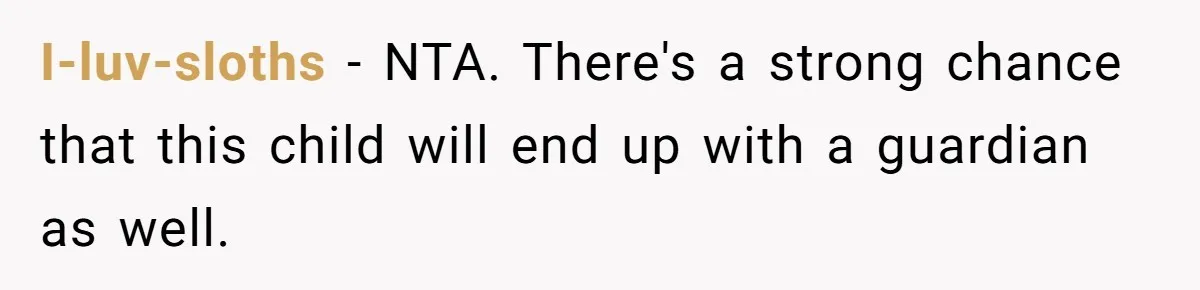 I-luv-sloths − NTA. There's a strong chance that this child will end up with a guardian as well.