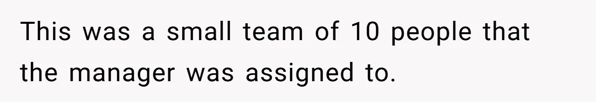 This was a small team of 10 people that the manager was assigned to.