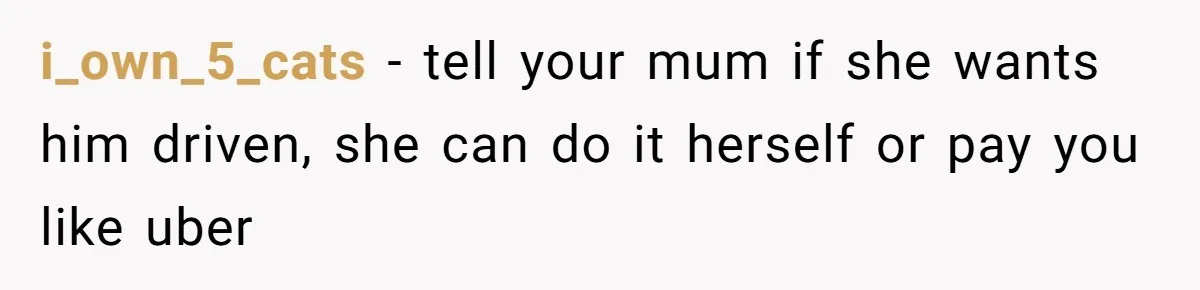 i_own_5_cats − tell your mum if she wants him driven, she can do it herself or pay you like uber