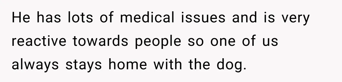 He has lots of medical issues and is very reactive towards people so one of us always stays home with the dog.
