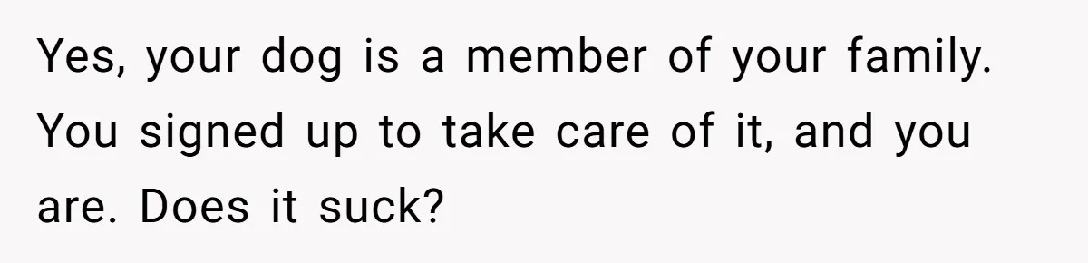 Yes, your dog is a member of your family. You signed up to take care of it, and you are. Does it suck?