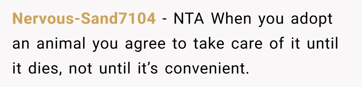 Nervous-Sand7104 − NTA When you adopt an animal you agree to take care of it until it dies, not until it’s convenient.