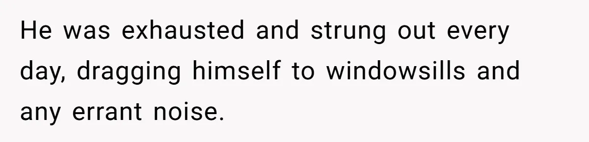 He was exhausted and strung out every day, dragging himself to windowsills and any errant noise.