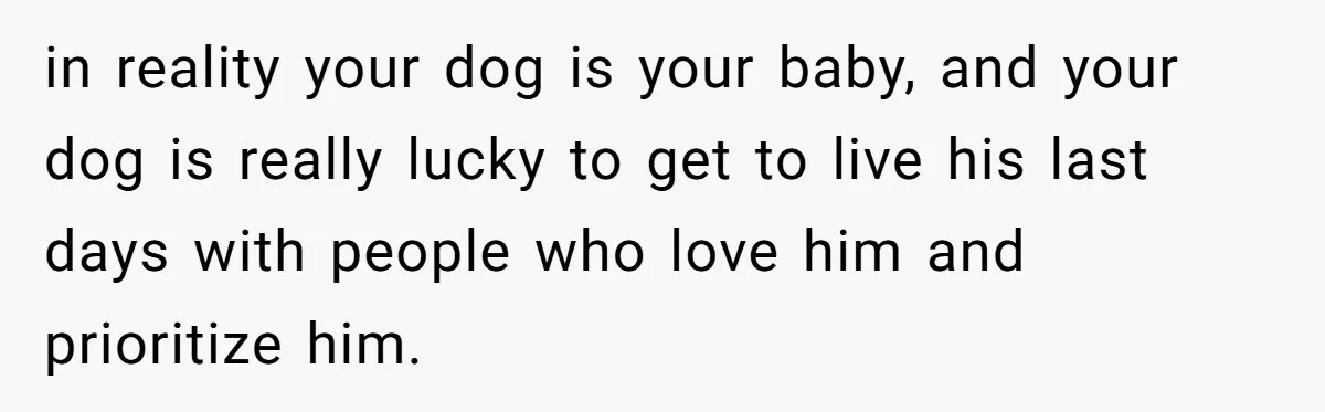 in reality your dog is your baby, and your dog is really lucky to get to live his last days with people who love him and prioritize him.