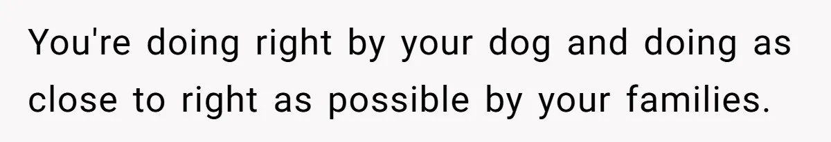 You're doing right by your dog and doing as close to right as possible by your families.