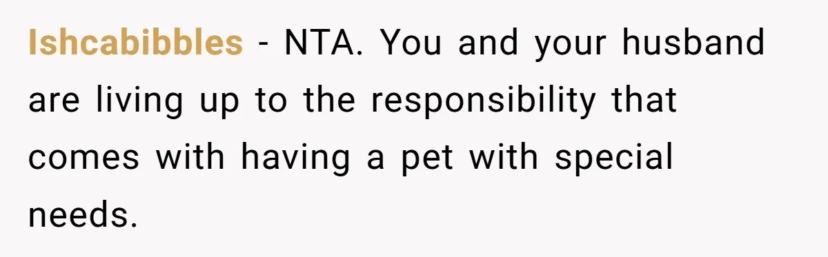 Ishcabibbles − NTA. You and your husband are living up to the responsibility that comes with having a pet with special needs.