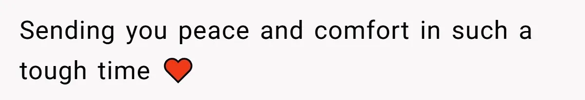 Sending you peace and comfort in such a tough time ♥️