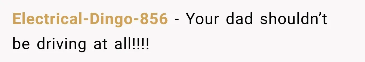 Electrical-Dingo-856 − Your dad shouldn’t be driving at all!!!!