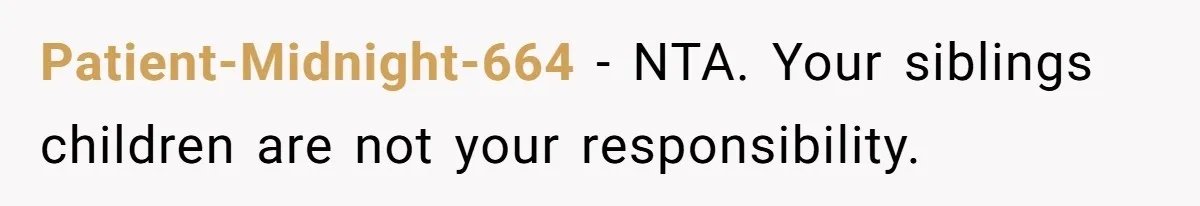 Patient-Midnight-664 − NTA. Your siblings children are not your responsibility.