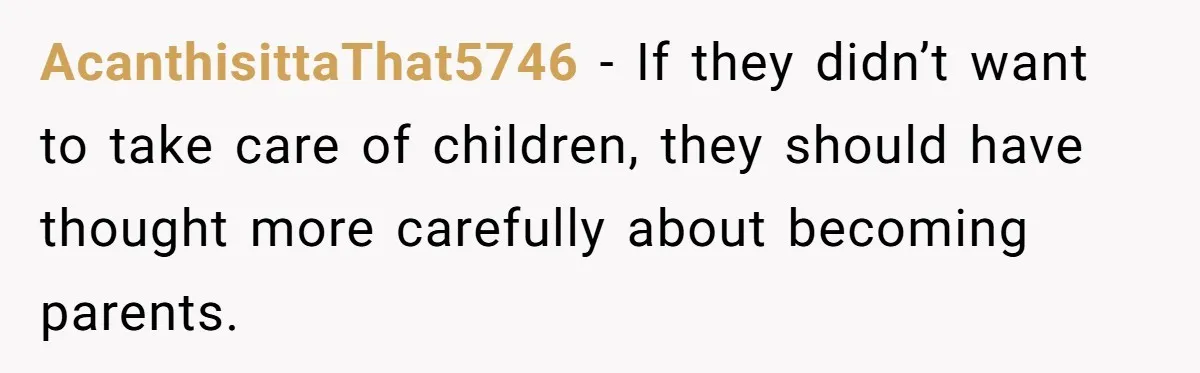 AcanthisittaThat5746 − If they didn’t want to take care of children, they should have thought more carefully about becoming parents.