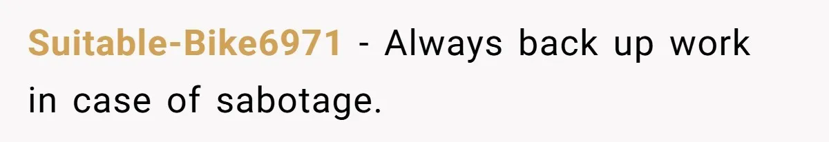 Suitable-Bike6971 − Always back up work in case of sabotage.