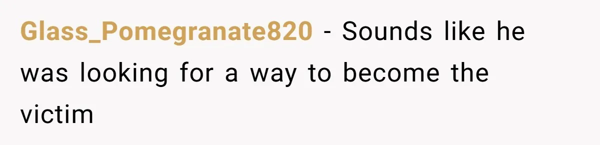 Glass_Pomegranate820 − Sounds like he was looking for a way to become the victim