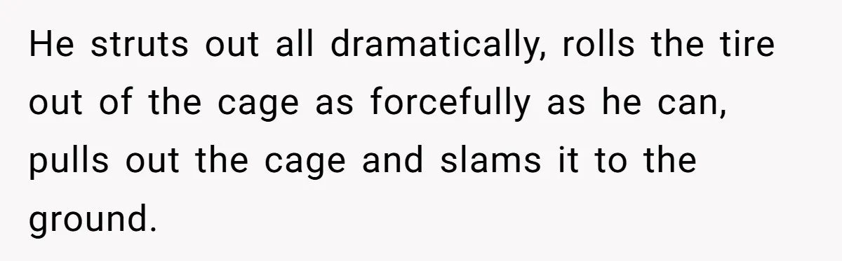 He struts out all dramatically, rolls the tire out of the cage as forcefully as he can, pulls out the cage and slams it to the ground.