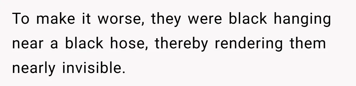 To make it worse, they were black hanging near a black hose, thereby rendering them nearly invisible.