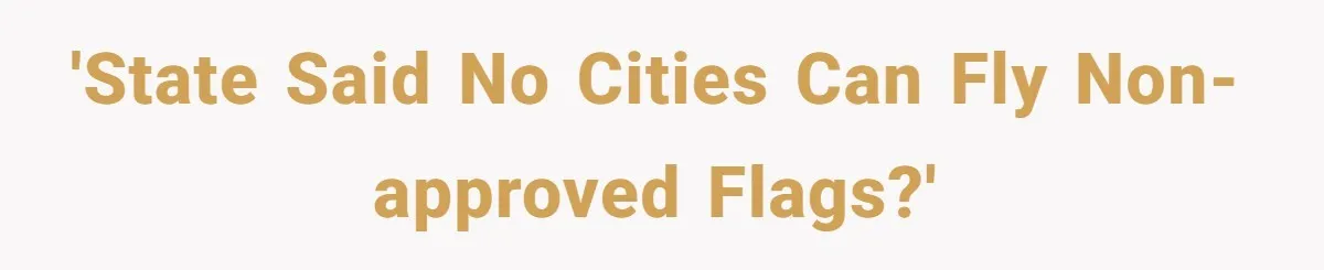 'State said no cities can fly non-approved flags?'
