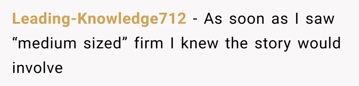 Leading-Knowledge712 − As soon as I saw “medium sized” firm I knew the story would involve