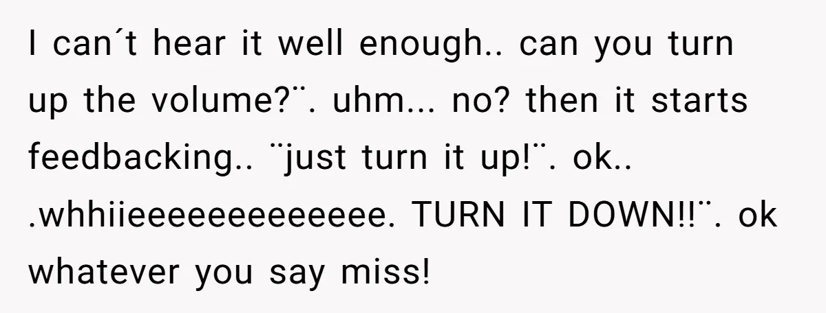 I can´t hear it well enough.. can you turn up the volume?¨. uhm... no? then it starts feedbacking.. ¨just turn it up!¨. ok.. .whhiieeeeeeeeeeeee. TURN IT DOWN!!¨. ok whatever you...