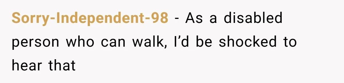 Sorry-Independent-98 − As a disabled person who can walk, I’d be shocked to hear that